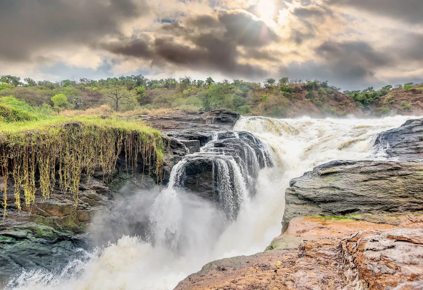 Murchison Falls National park